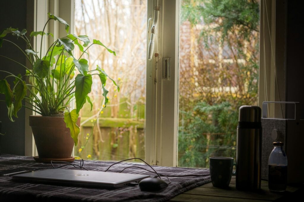 The 11 Best Online BSW Programs Best Clinical Mental Health Counseling Master's Programs